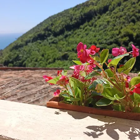 Rooftop Vietri Sul Mare Costiera Amalfitana