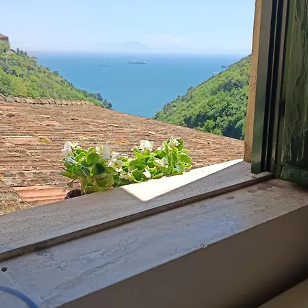 Rooftop Vietri Sul Mare Costiera Amalfitana Holiday home Albori